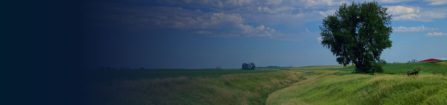 open grass prairie with a single tree in the distance.