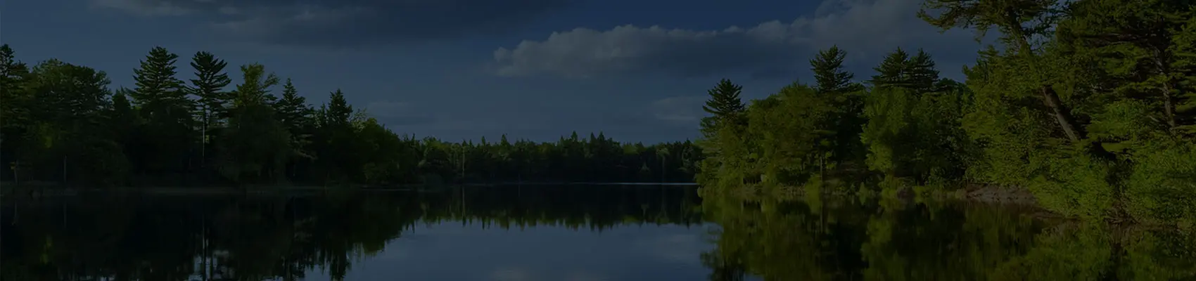 Trees surrounding a Minnesota lake with reflections on the water